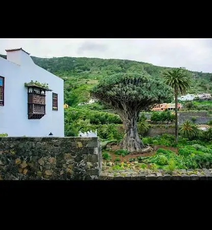 Mireya Villa Icod De Los Vinos