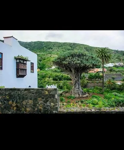 Mireya Villa Icod de los Vinos